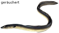 Aal